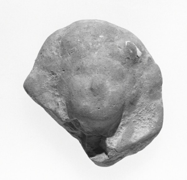 Unknown, Female Head