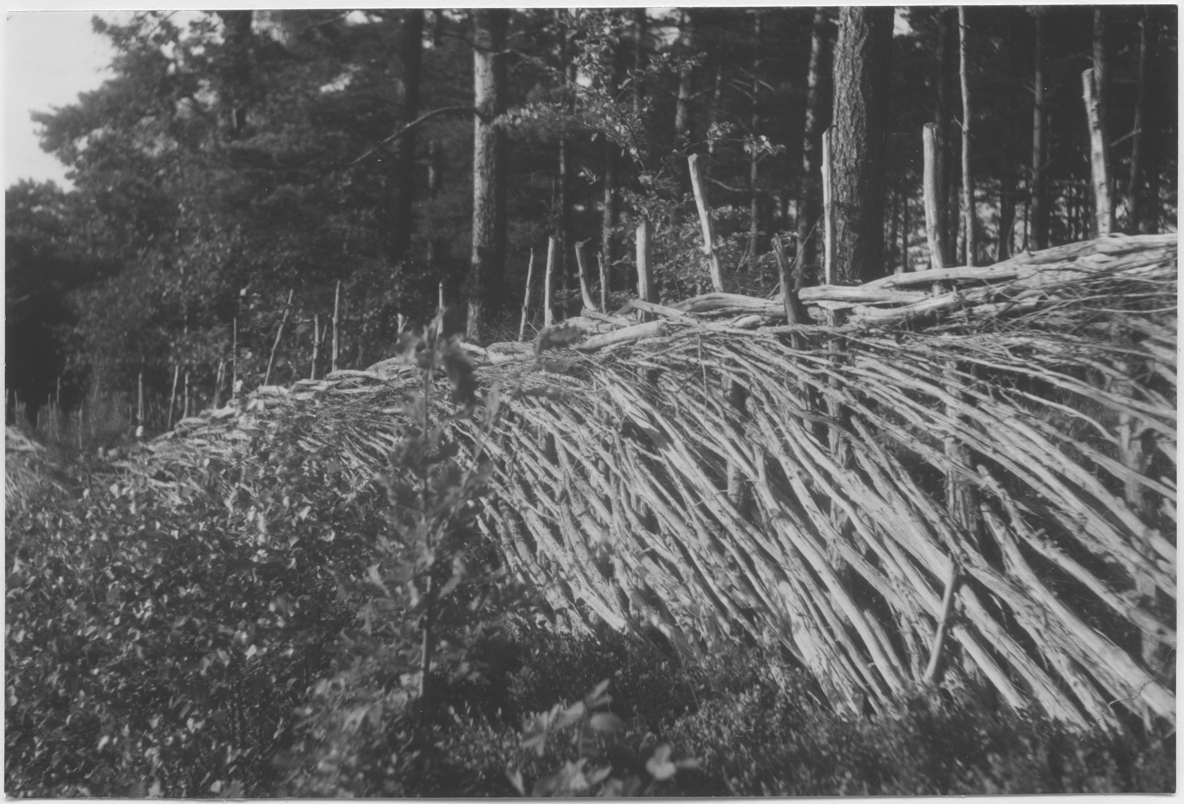 Mårten Sjöbeck, Pieboda, gärdesgård kring åker