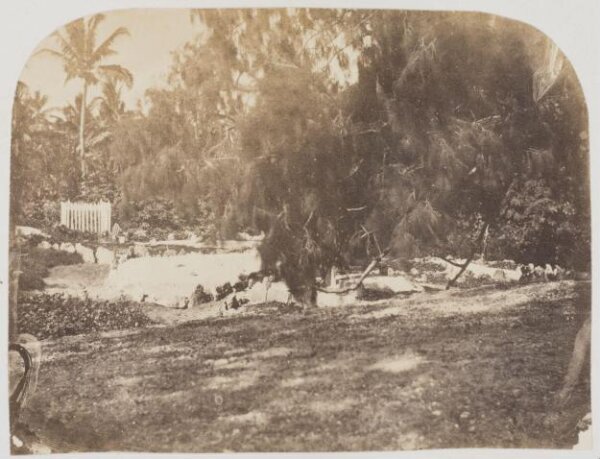 Kerr, Henry, Photograph