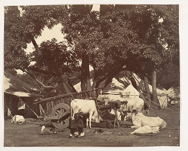 Unknown, [Scene in Camp]