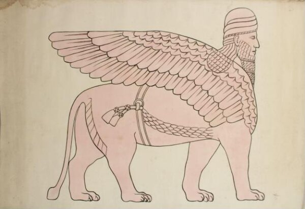 Unknown, Drawing