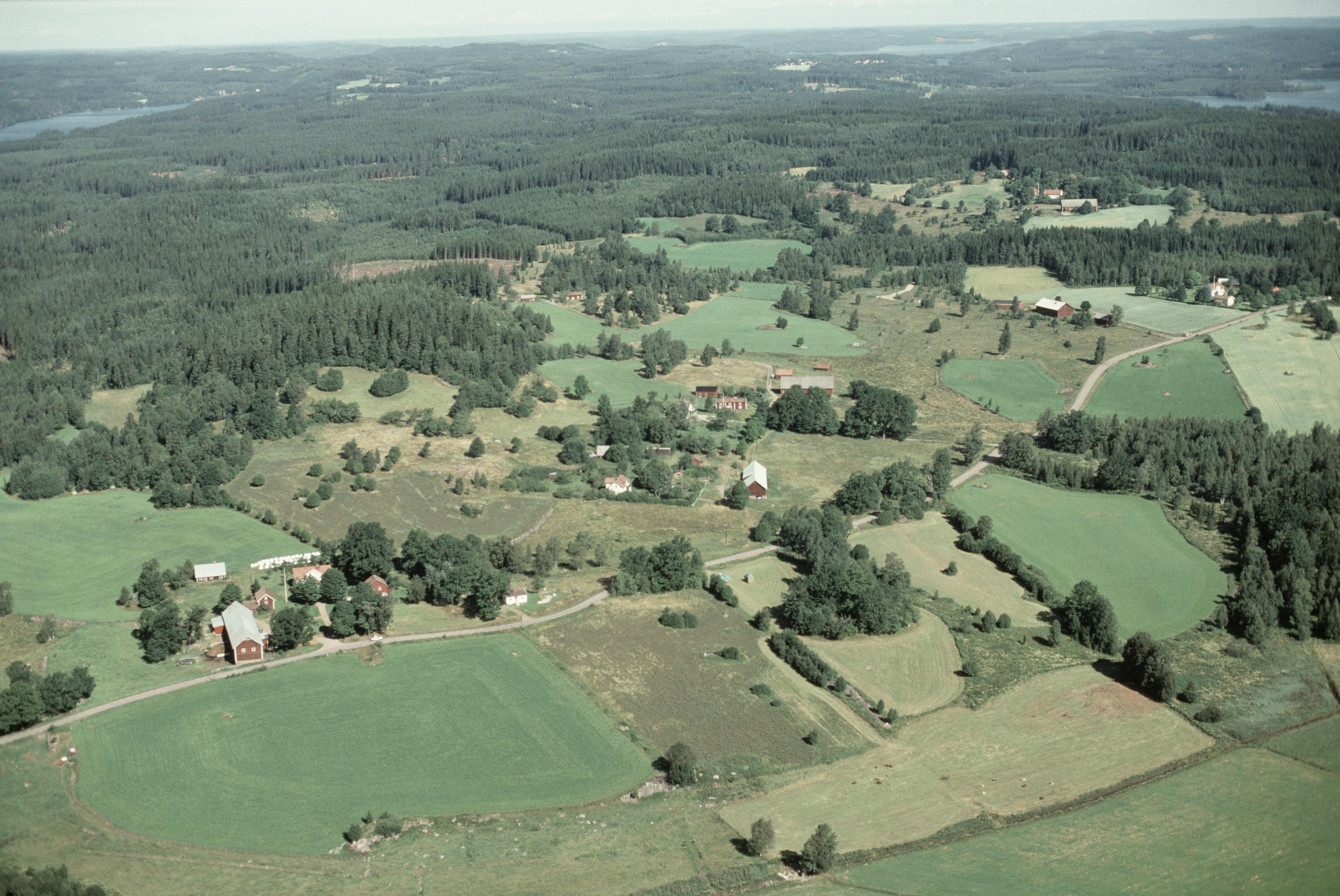 Jan Norrman, Sund 12:1