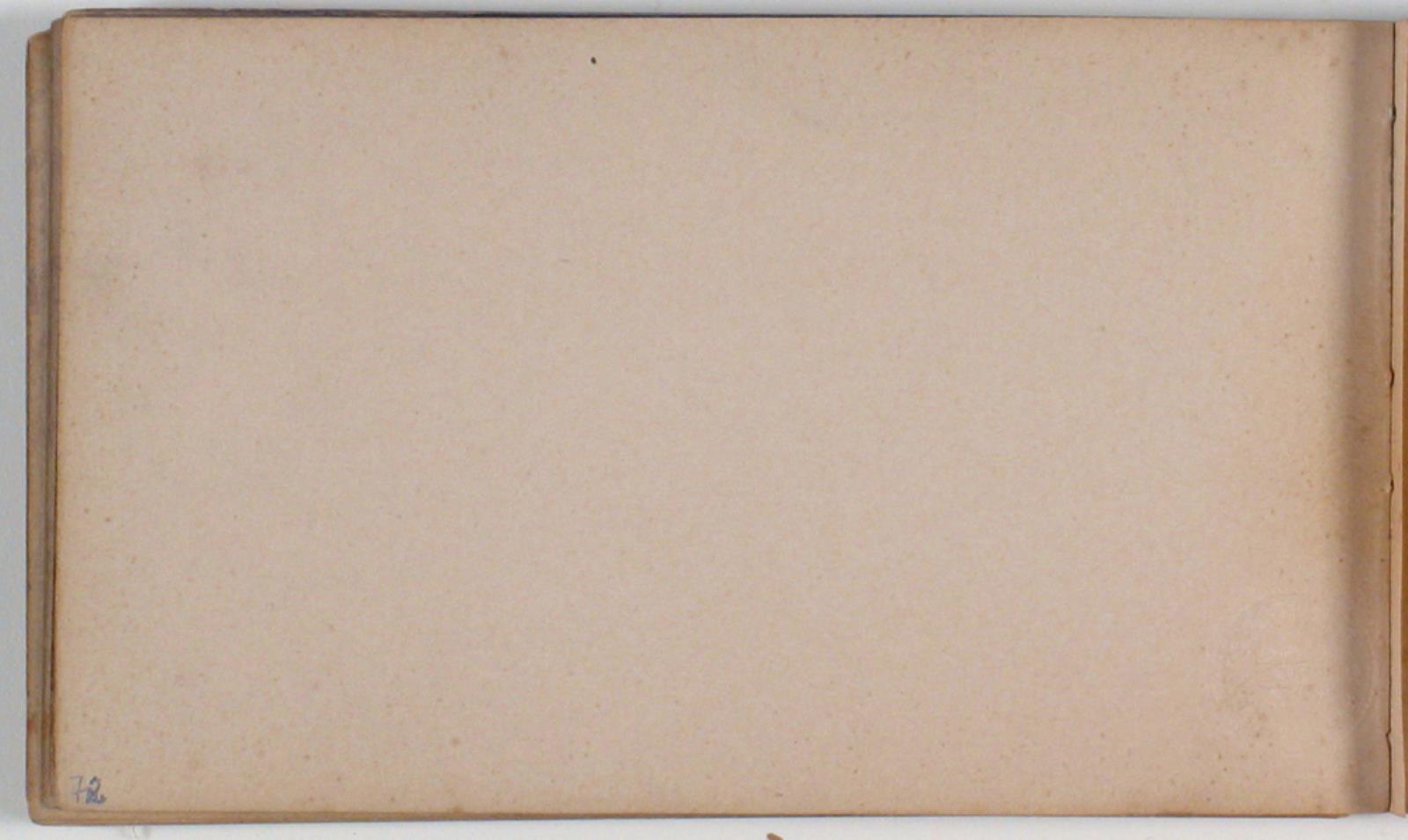 Niels Larsen Stevns, Blank