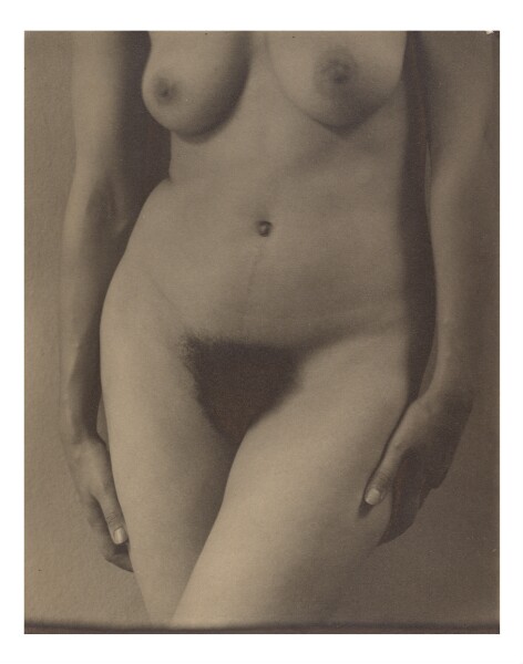 Alfred Stieglitz, Georgia O'Keeffe: A Portrait