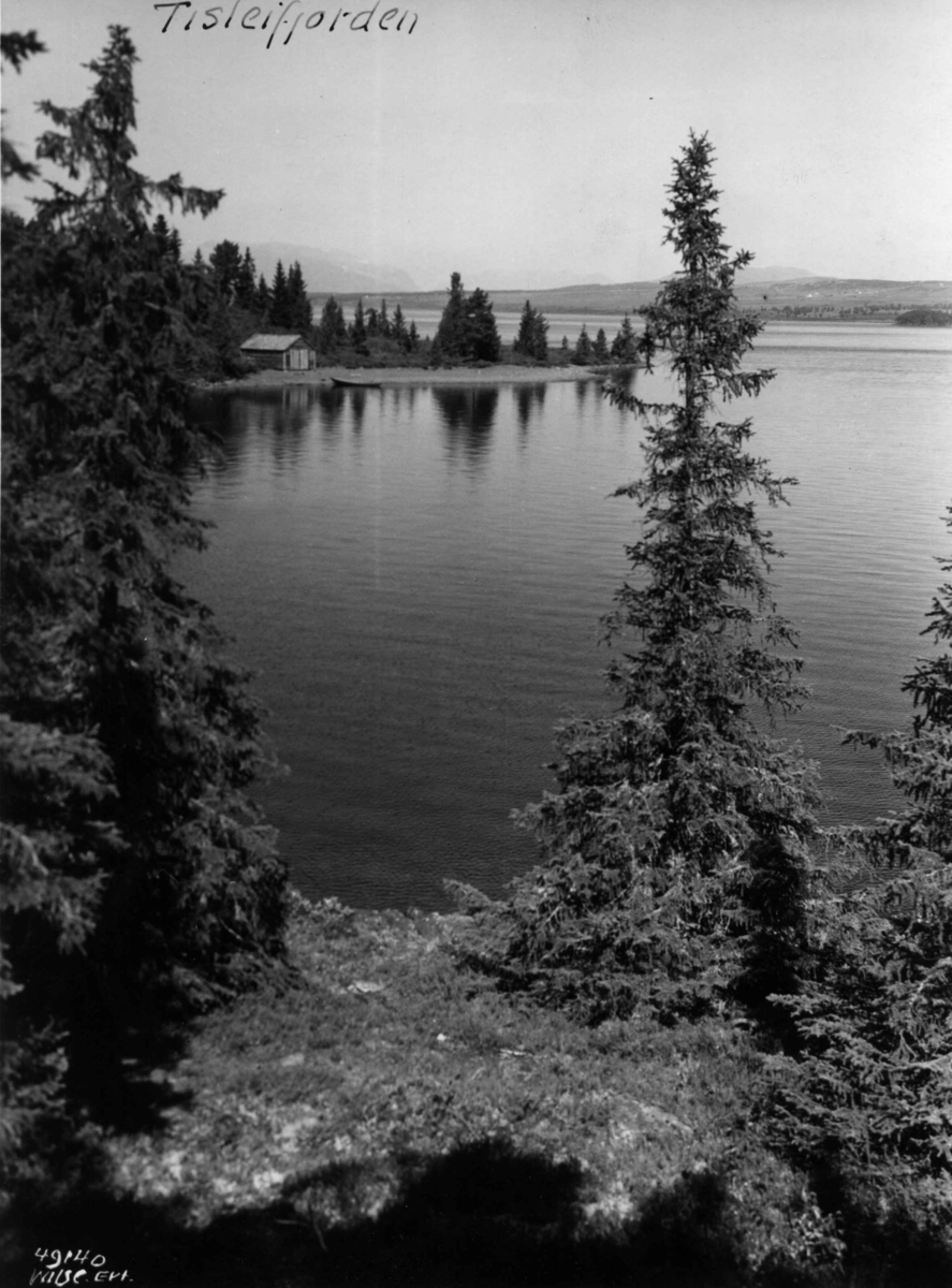 Anders Beer Wilse, Tisleifjorden