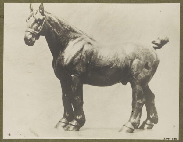 unknown, Photograph