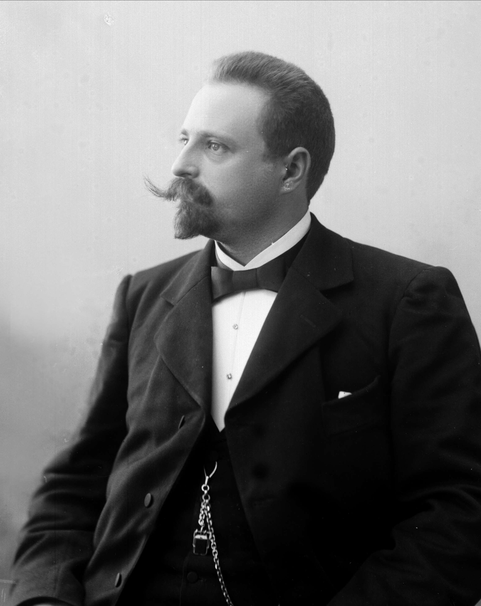 Gustav Borgen, NFB.03308