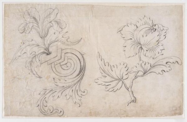unknown, Drawing