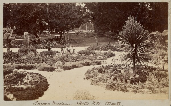 Carleton Watkins, Arzona [sic] Gardens - Hotel Del Monte