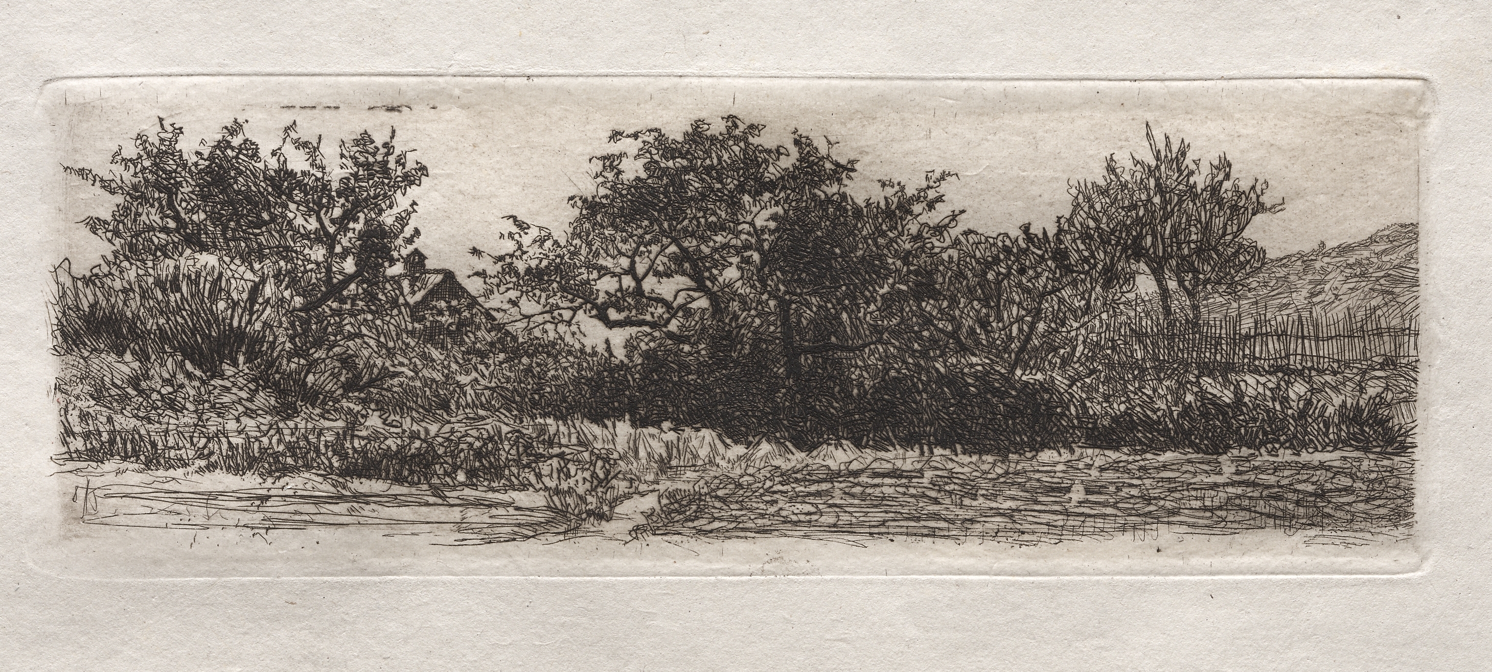 Otto H. Bacher, Roofs and Trees