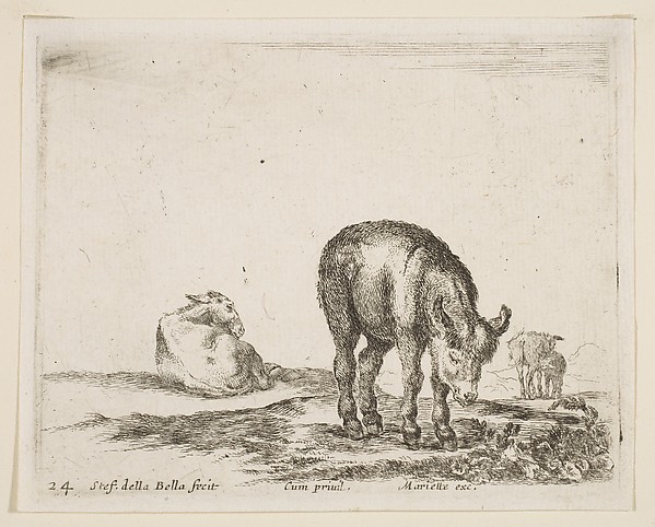 Stefano della Bella, Donkeys, plate 24 from "Various Animals" (Diversi Animali)