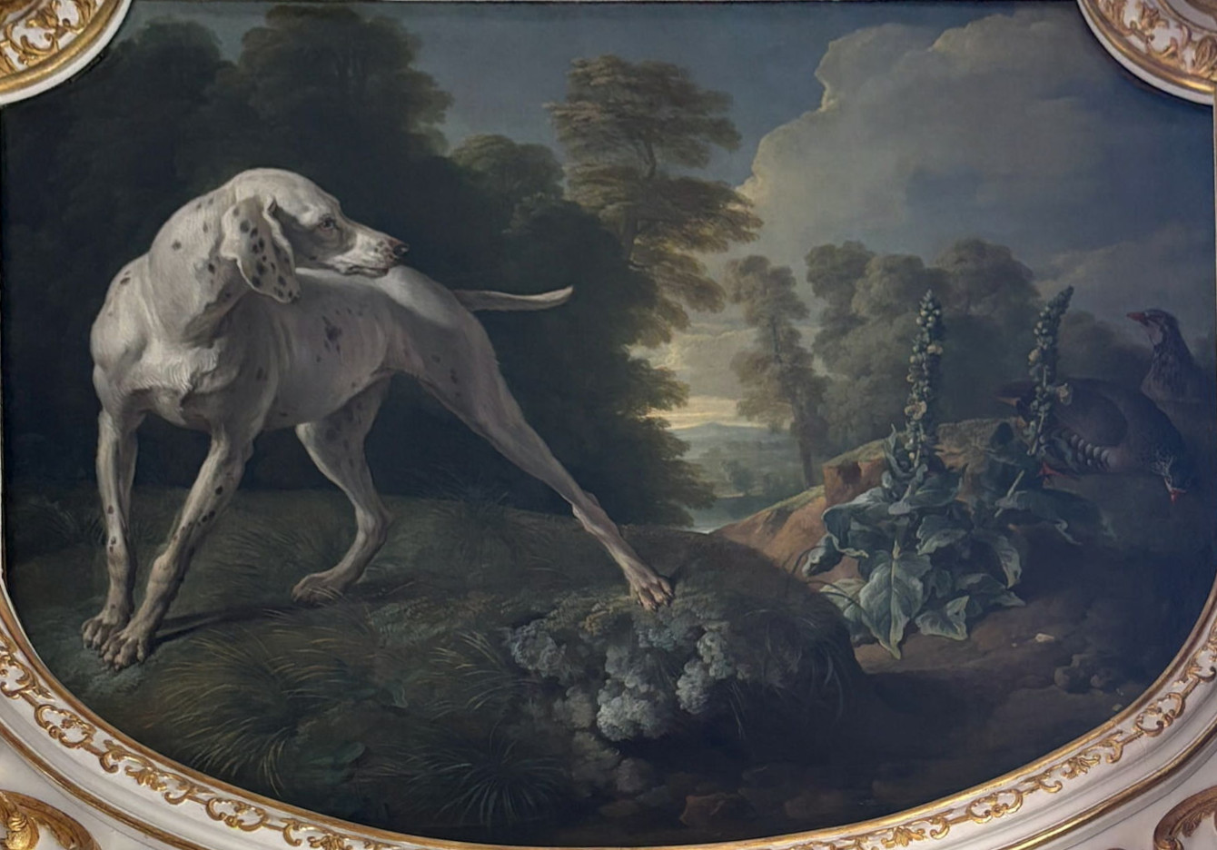 Alexandre-François Desportes, Chienne et deux perdrix