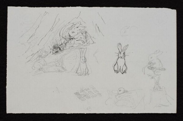 Potter, Beatrix, drawing
