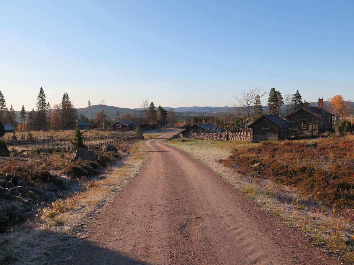 Jennie Tiderman-Österberg, View, cottages, nest houses, Grejsans fiancée, Enviken, 2017.