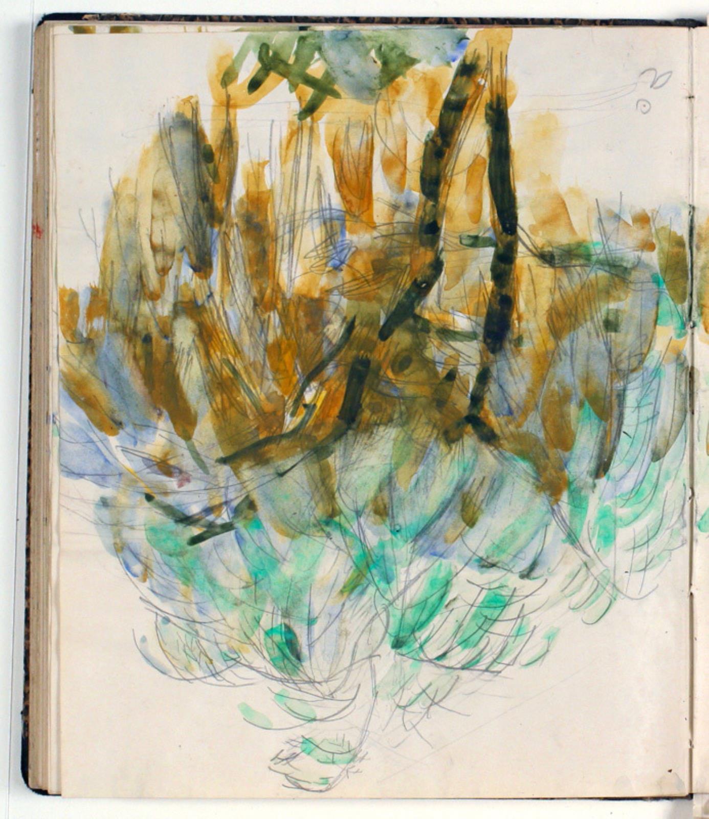 Niels Larsen Stevns, Studie af buskads