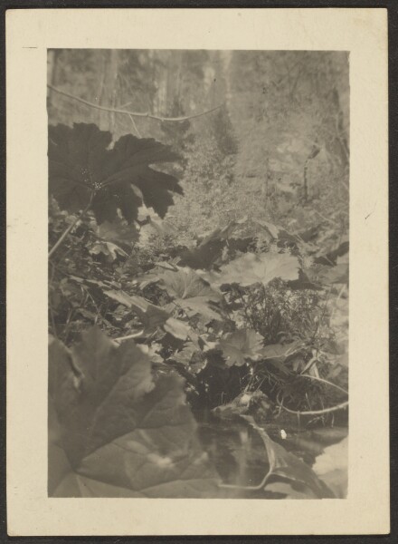Louis Fleckenstein, [Landscape]