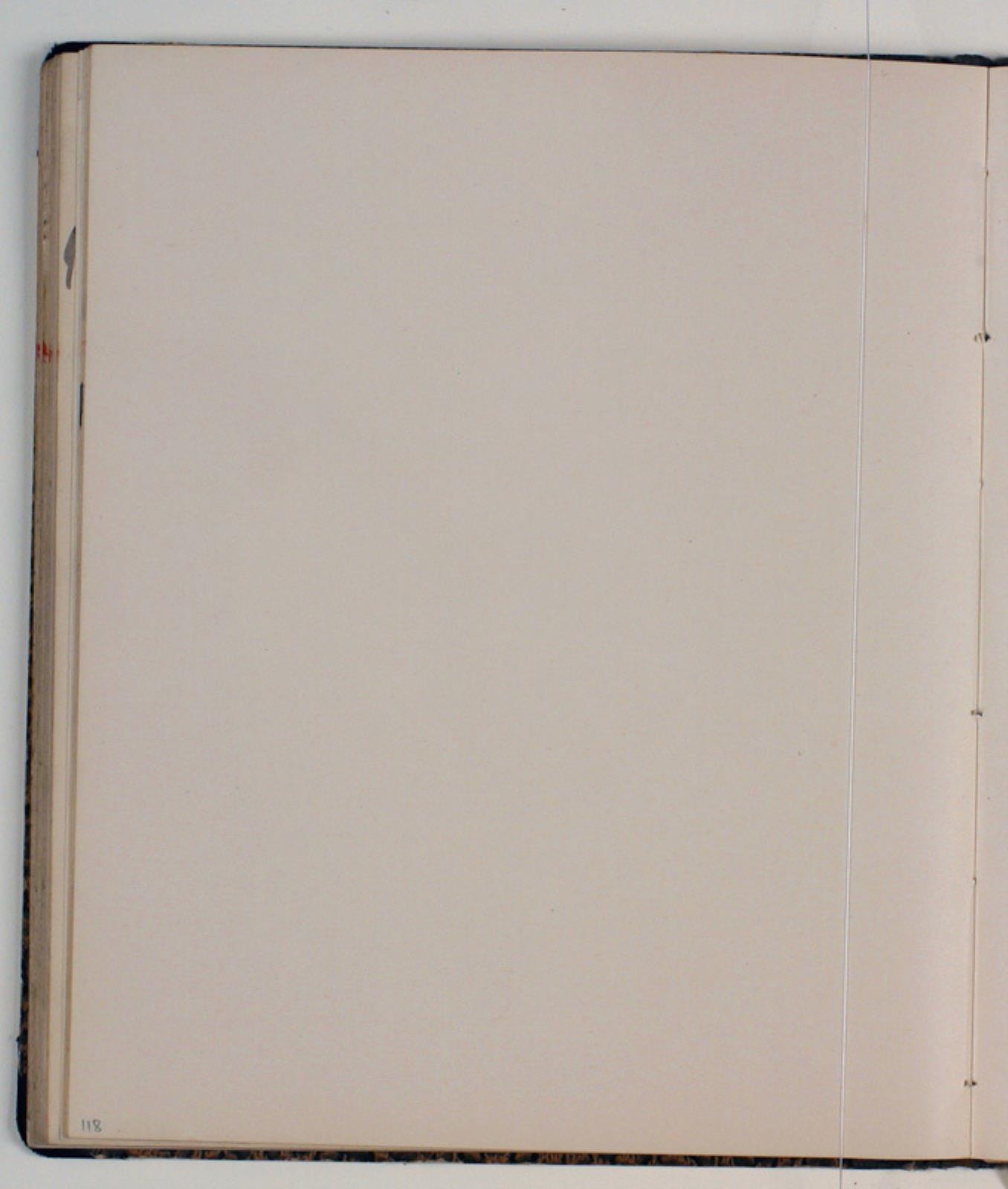 Niels Larsen Stevns, Blank