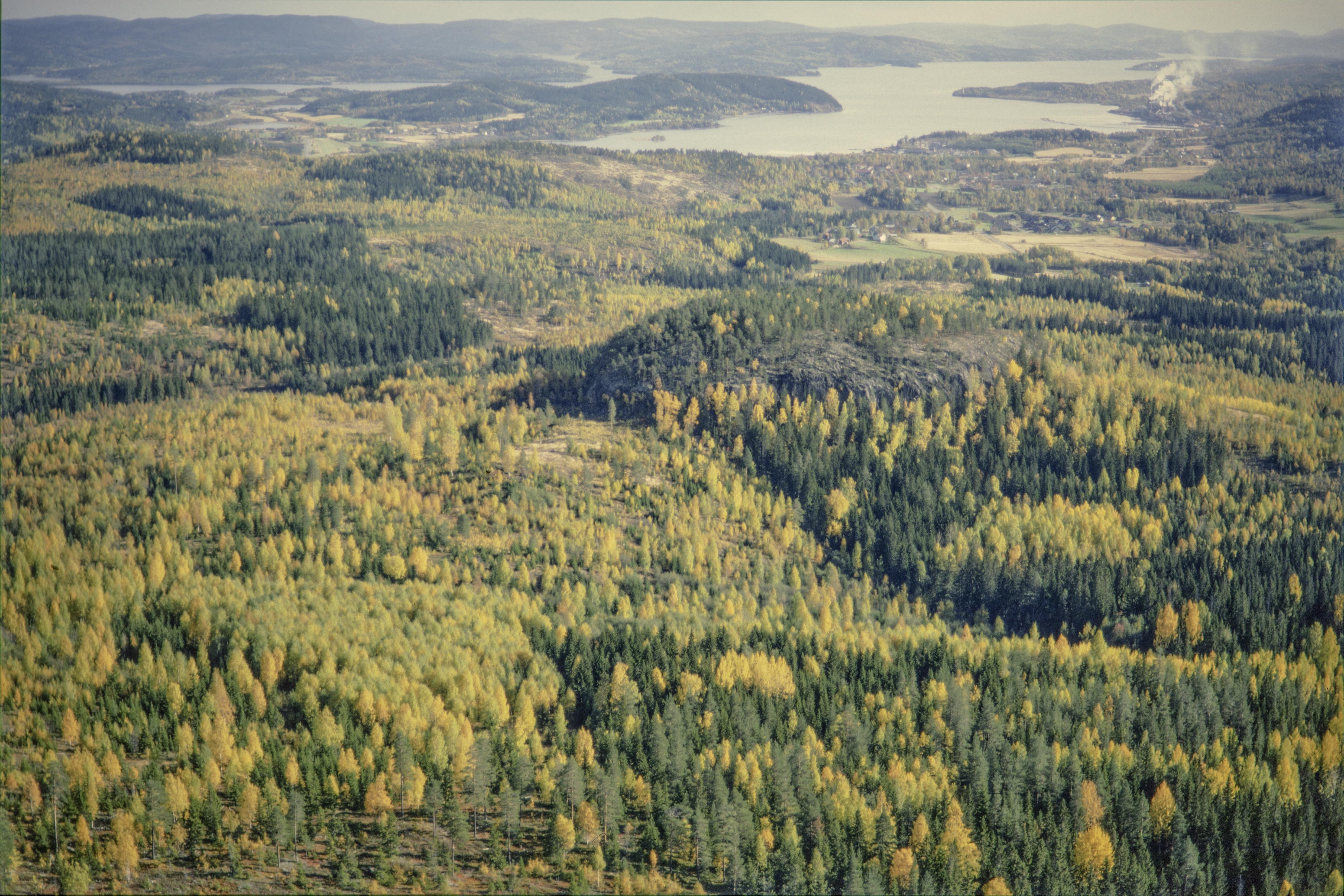 Jan Norrman, Ytterlännäs 1:1
