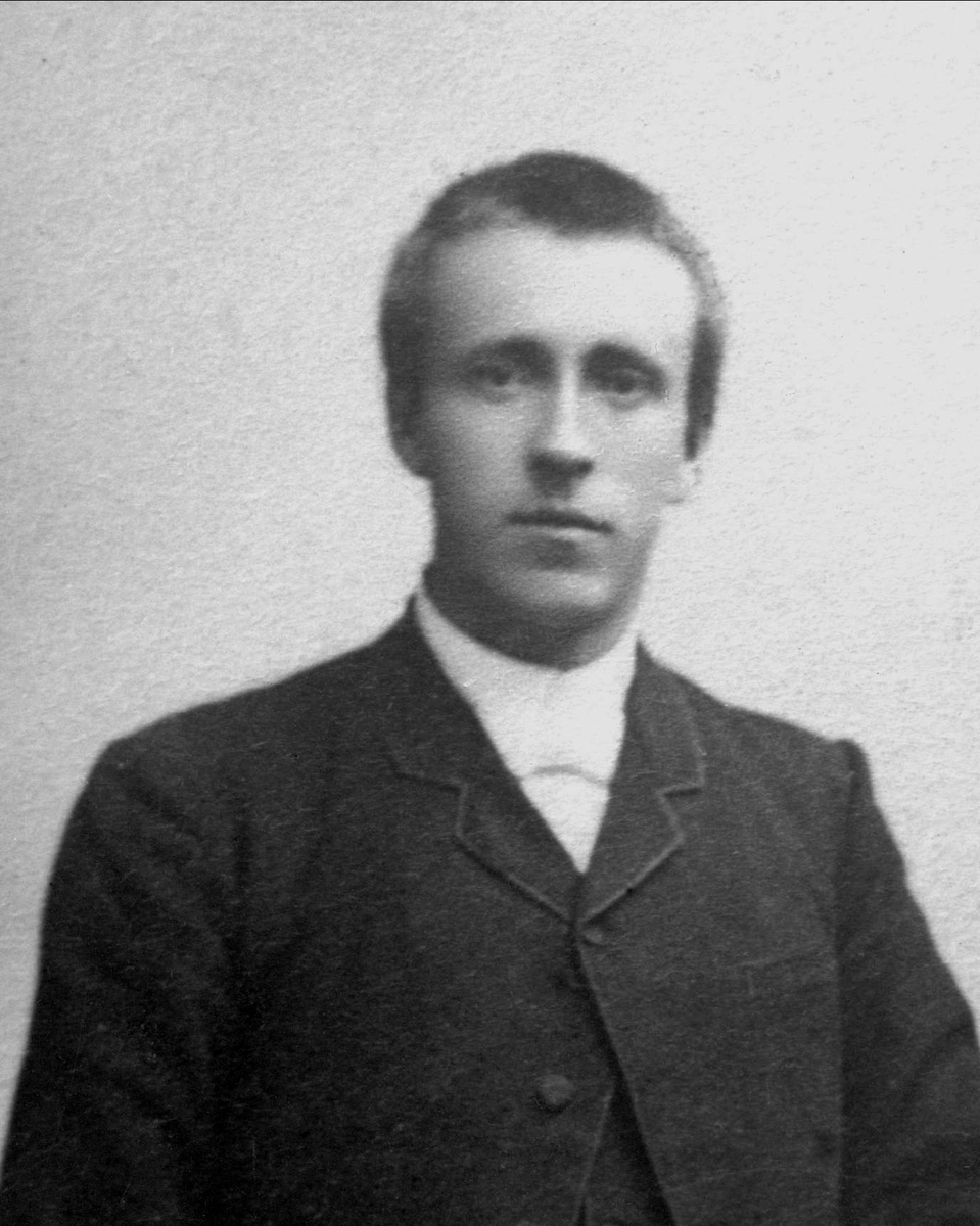 Gustav Borgen, Avfotografering.