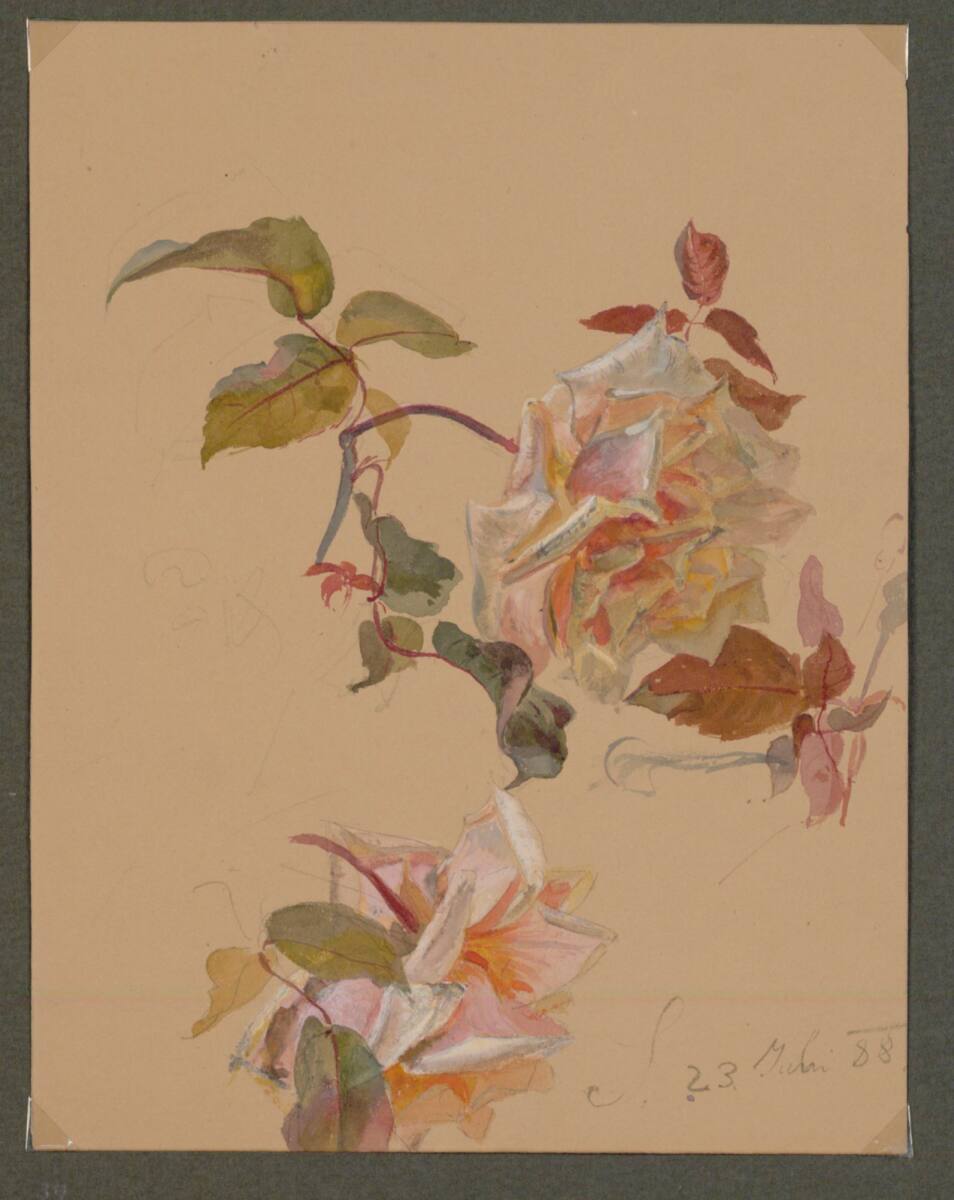 MarieLippert-Hoerner, Zwei halbverwelkte Rosen