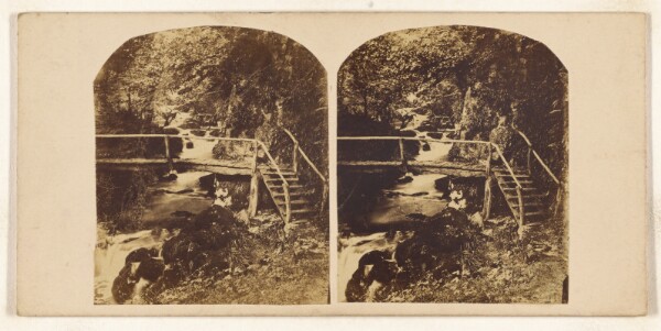 Unknown, [Combe Wood]