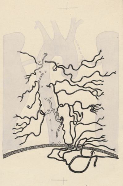 J Tinkelenberg, Part of the heart and circulatory system