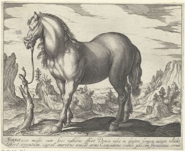 Panderen, Egbert van, (1581-1637?), (printmaker), Horse breeds: Landscape with a Tuscan horse