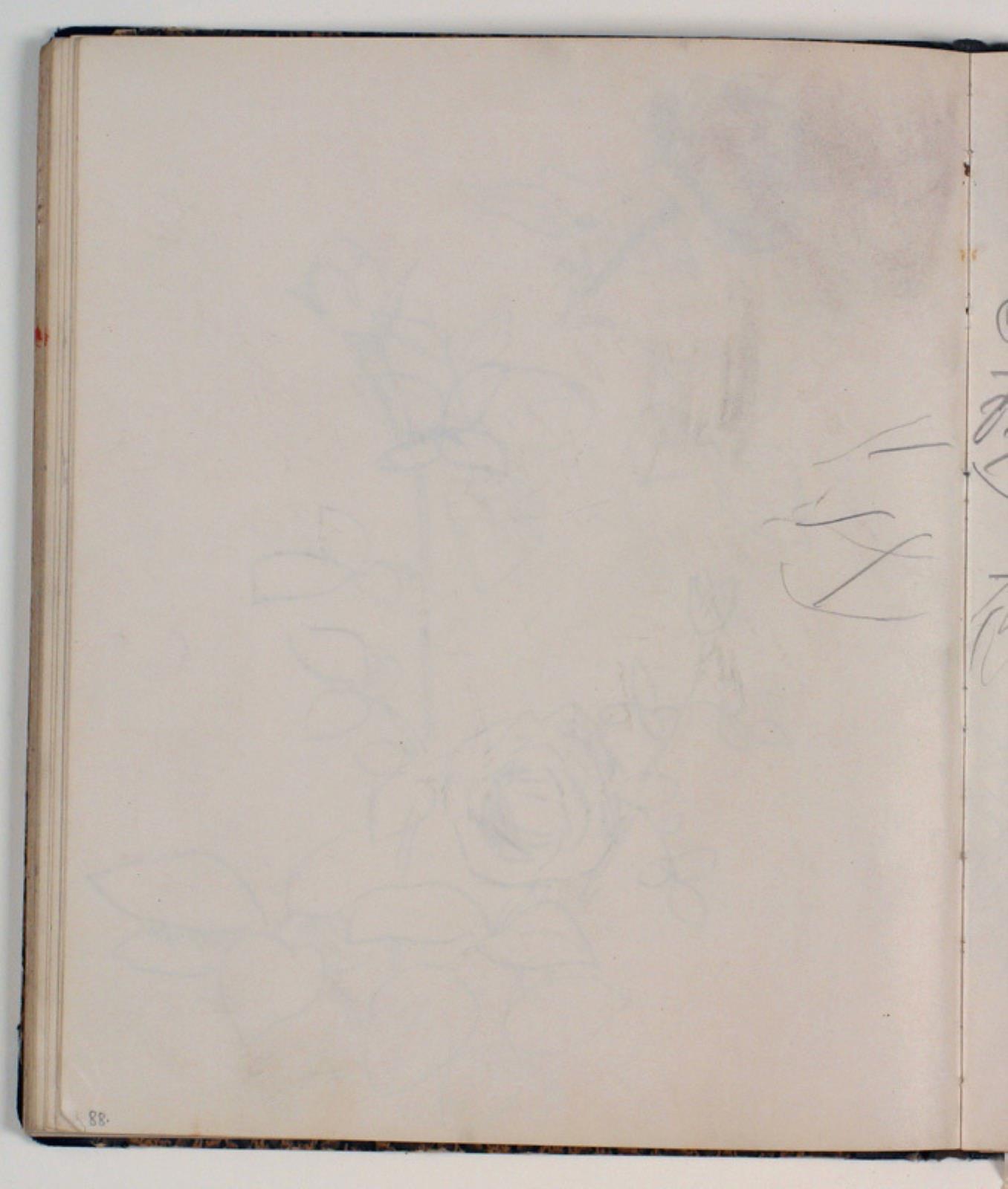 Niels Larsen Stevns, Plantestudier