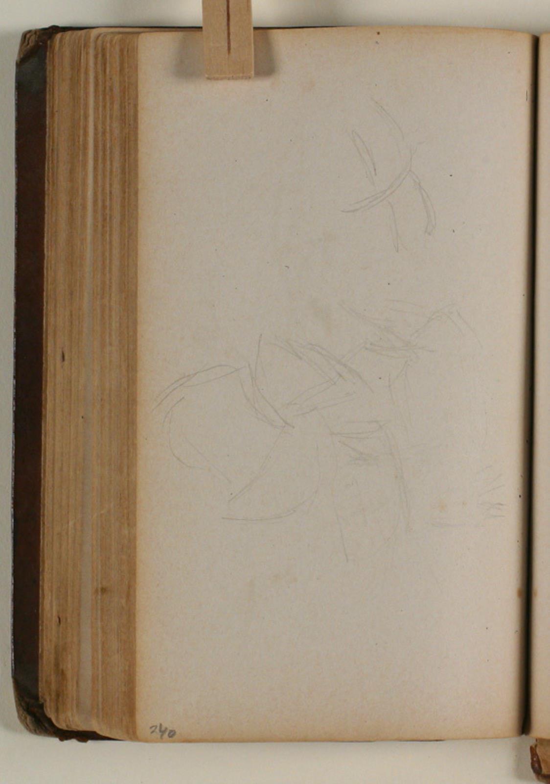 Niels Larsen Stevns, Studier af fugle