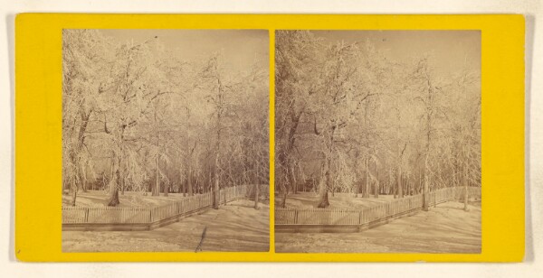 John B. Heywood, Ice Grove. [Niagara]