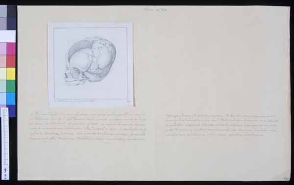 M Houtman, Skull of a child