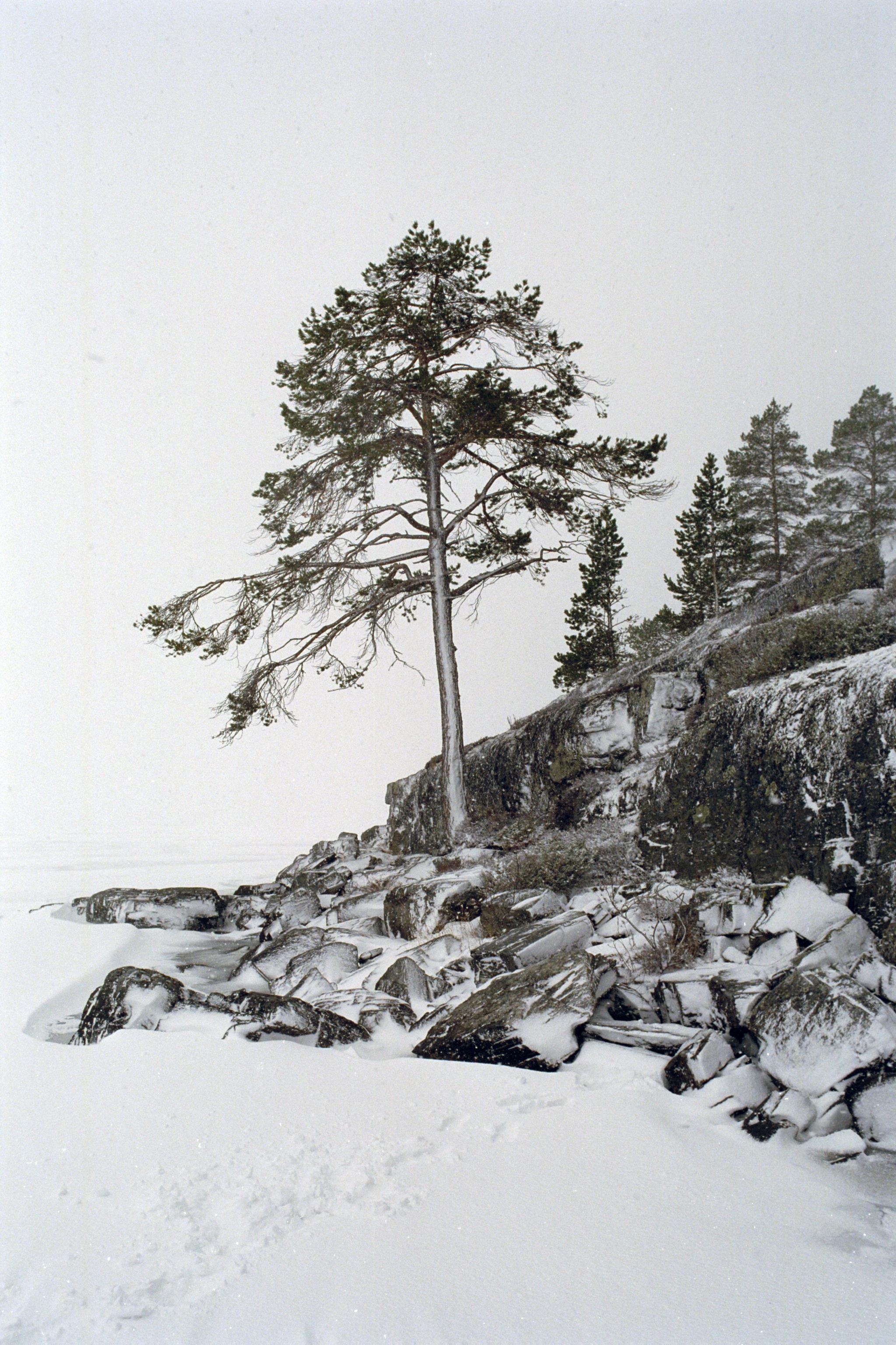 Bengt A Lundberg, Föllinge 346:1