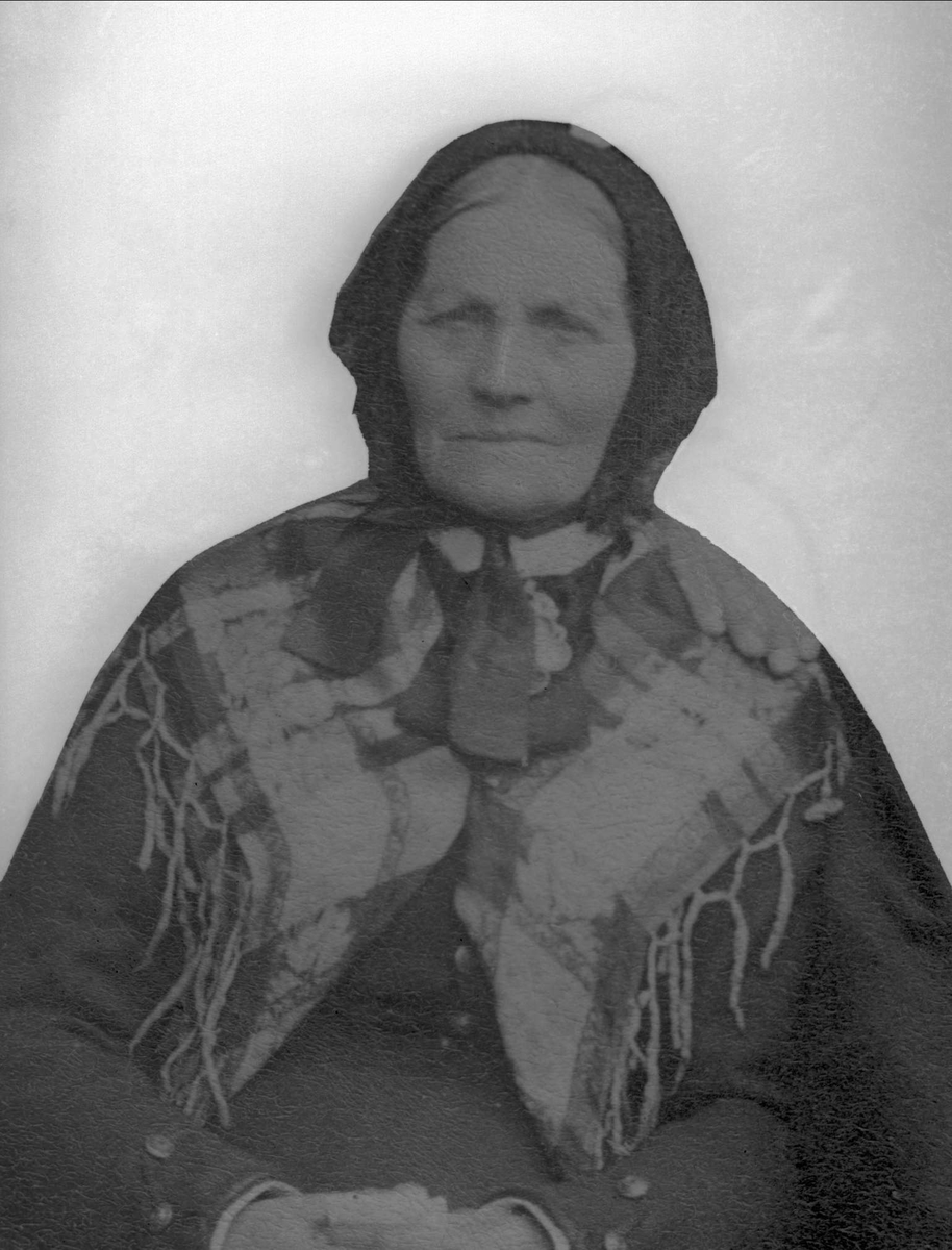 Gustav Borgen, Avfotografering.