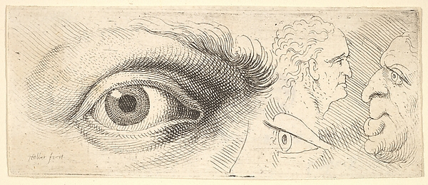 Wenceslaus Hollar, Two eyes and two heads
