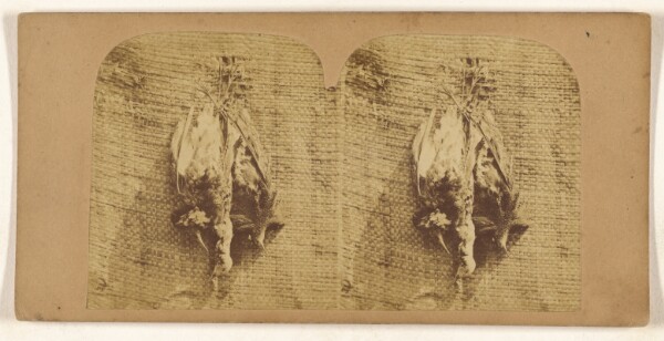 Unknown, [Still life of fowl]