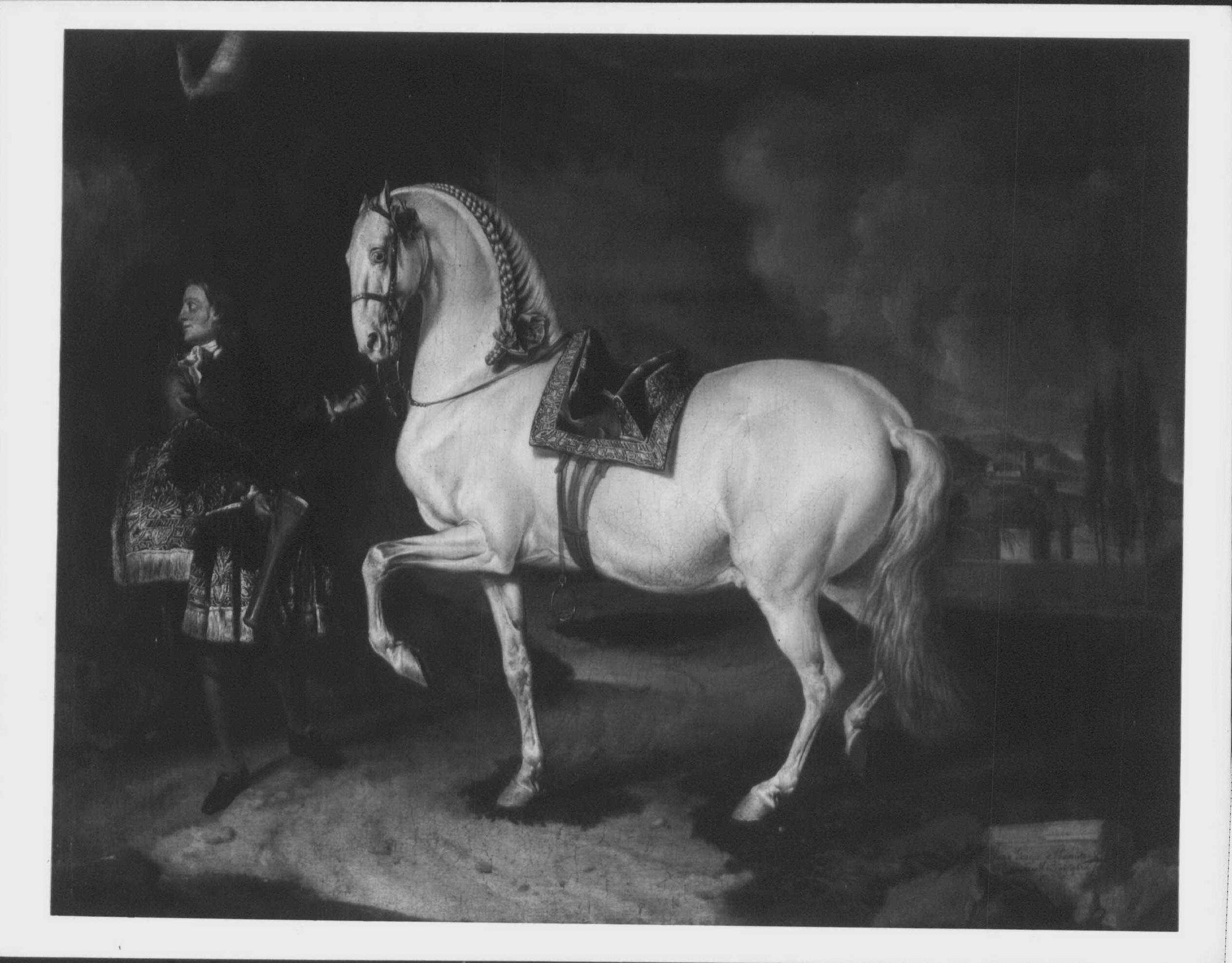 Johann Georg de Hamilton, The Favourite Horse of the Duke of Modena