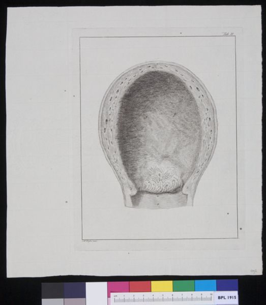 R Muys, The womb