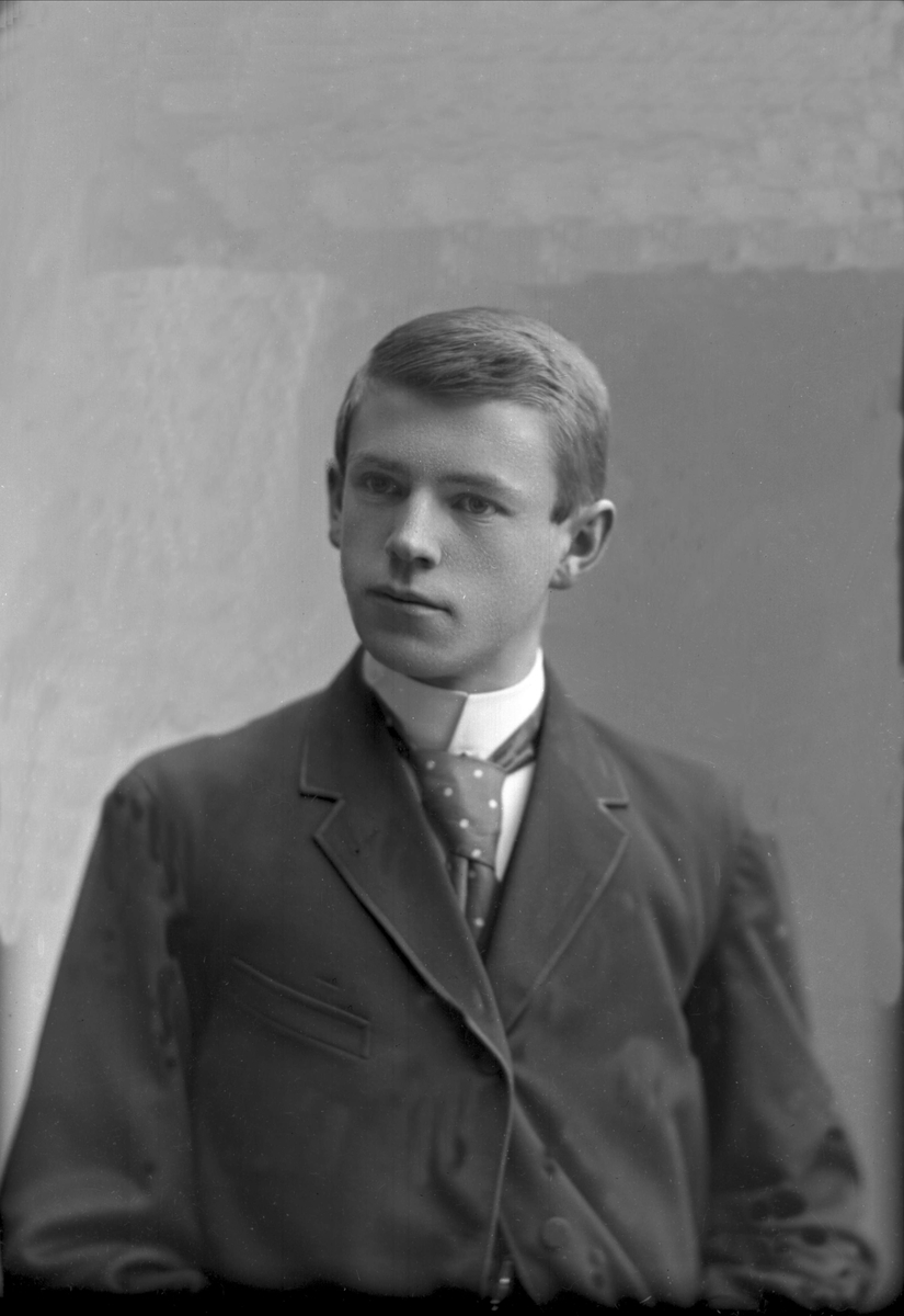 Gustav Borgen, NFB.22785