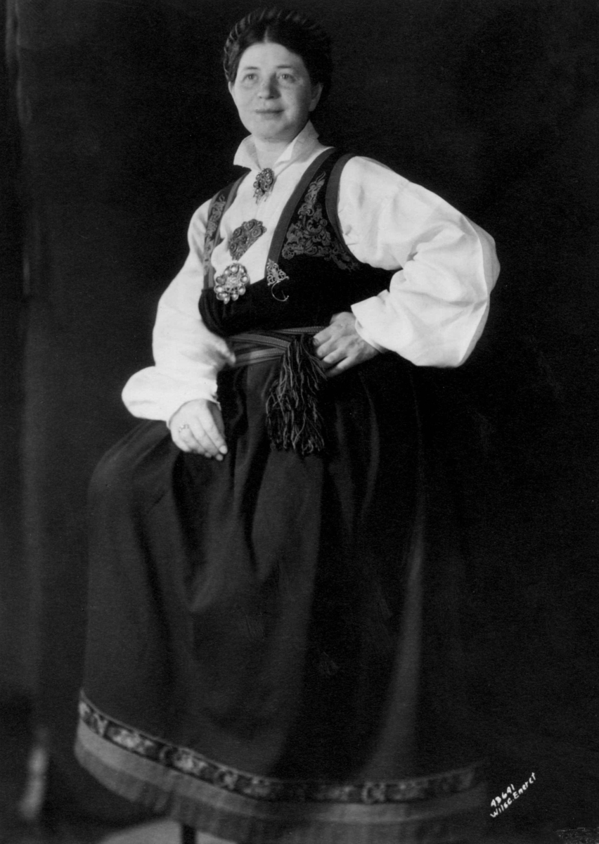Anders Beer Wilse, Telemarksbunad, Telemark