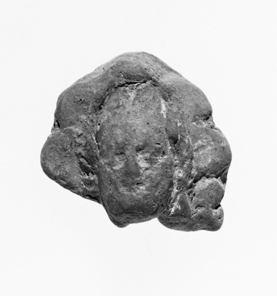 Unknown, Female Head