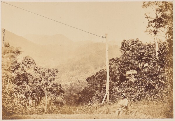 Unknown, Dalrymple Gap, Queensland