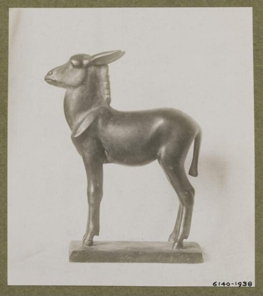 unknown, Photograph
