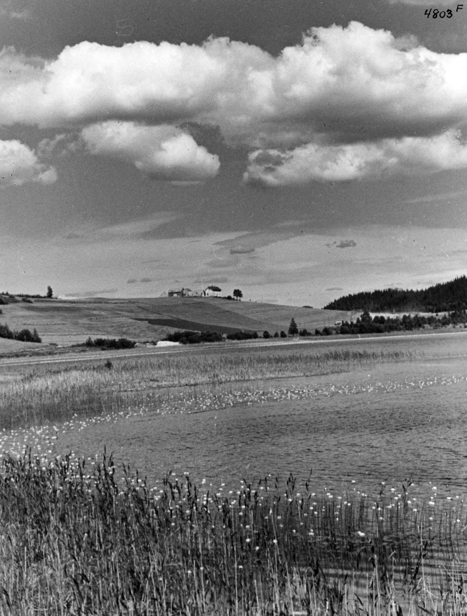 Anders Beer Wilse, Topografi