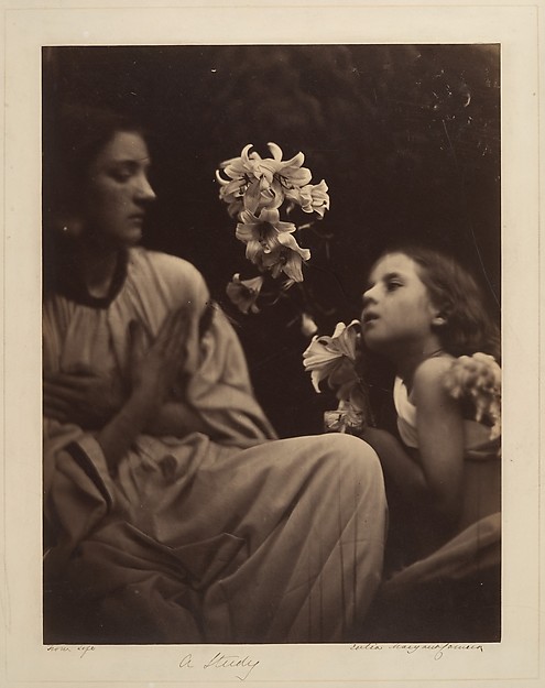 Julia Margaret Cameron, A Study