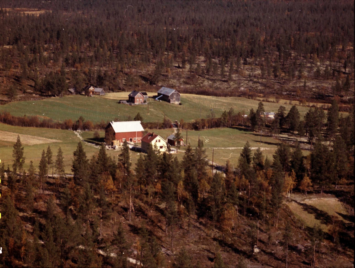 Widerøes Flyveselskap A/S, Gårdsbruk.
