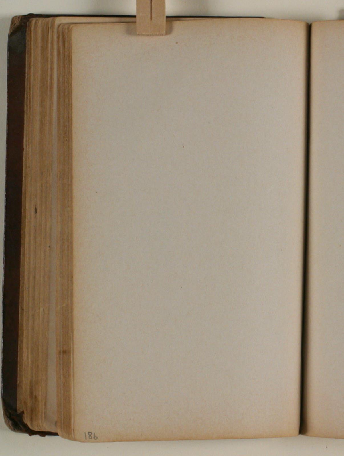 Niels Larsen Stevns, Blank
