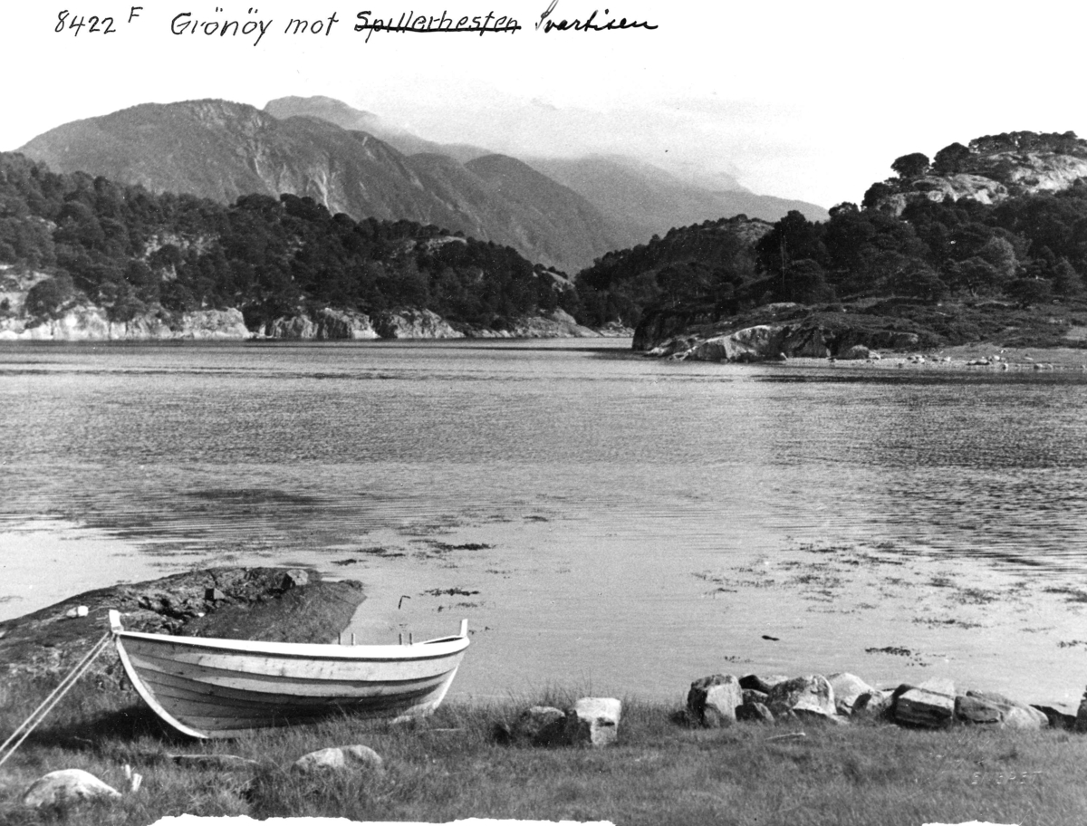 Anders Beer Wilse, Topografi