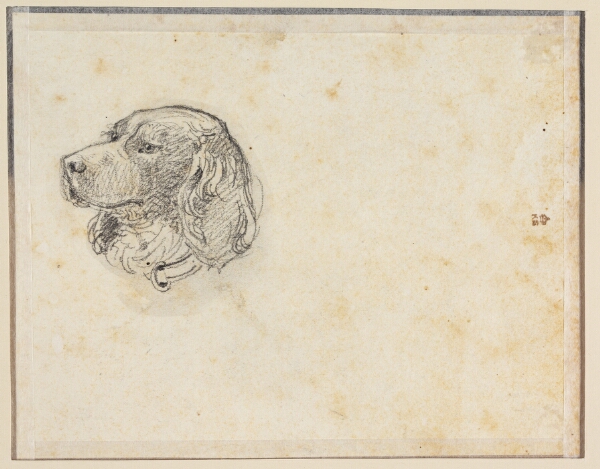 Constantin Hansen, Et hundehoved