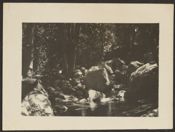Louis Fleckenstein, [Woodsy Landscape]