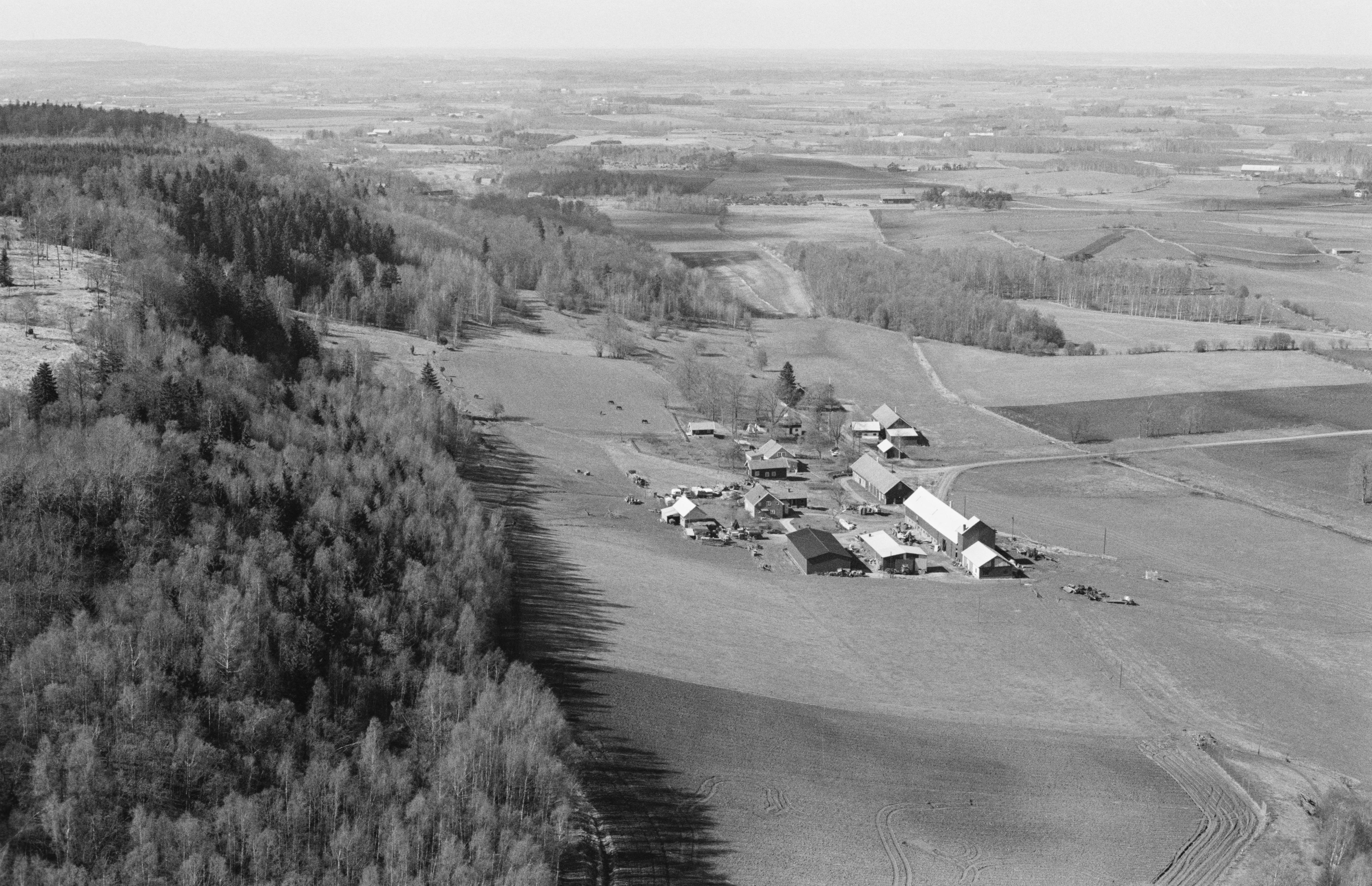 Jan Norrman, Dala 136:1